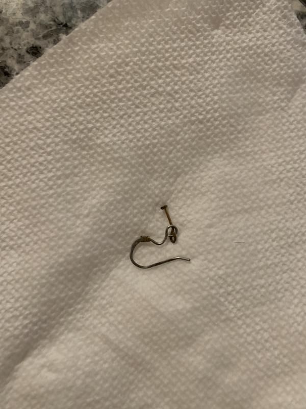 Earring found in my cat’s food