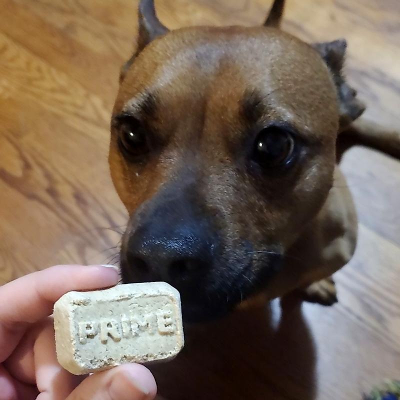 Photo - commentaire&nbsp;6.