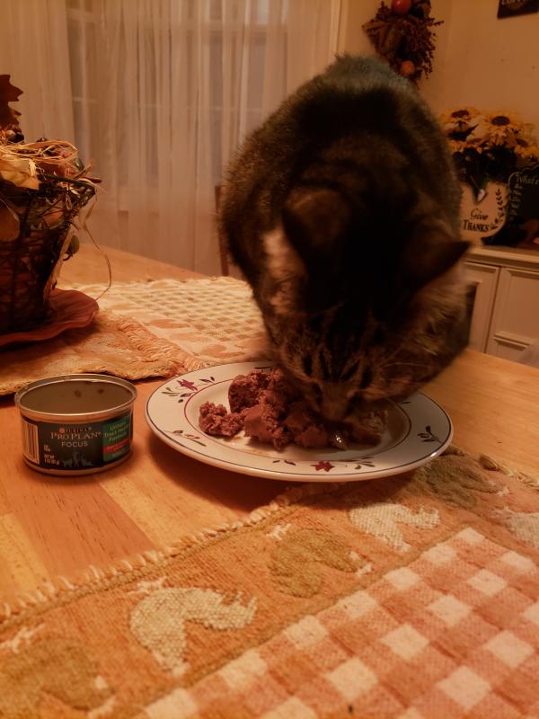 She loves it!!