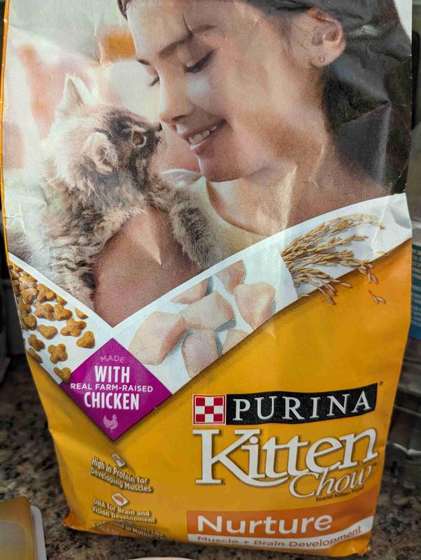 Purina Kitten Chow Dry Kitten Food Nurture 14 lb. Bag Meijer