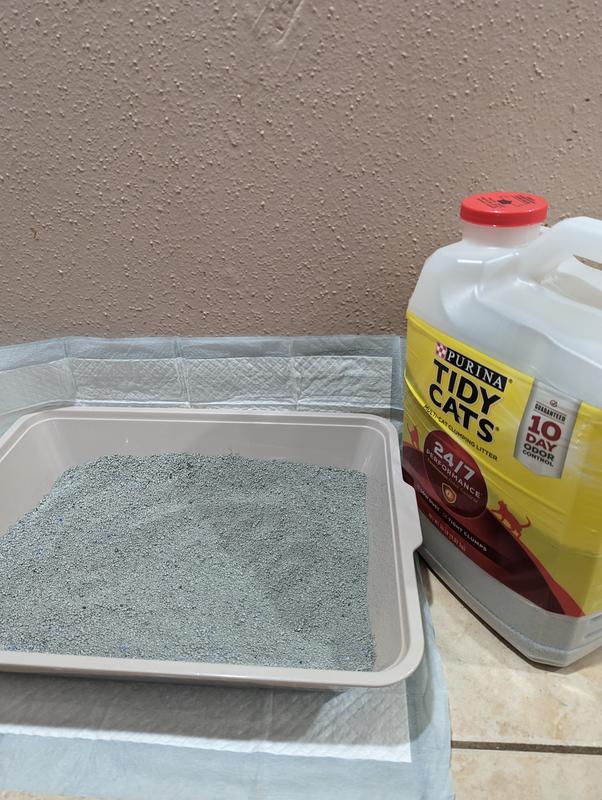 40 lb tidy outlet cat litter