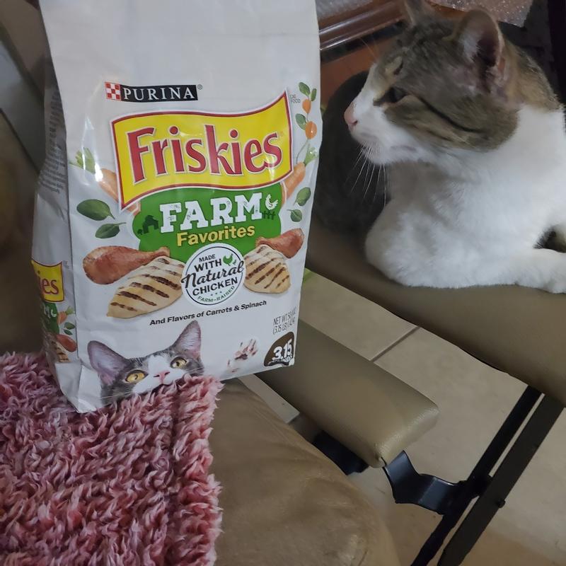 Purina Friskies Natural Dry Cat Food Farm Favorites With Chicken