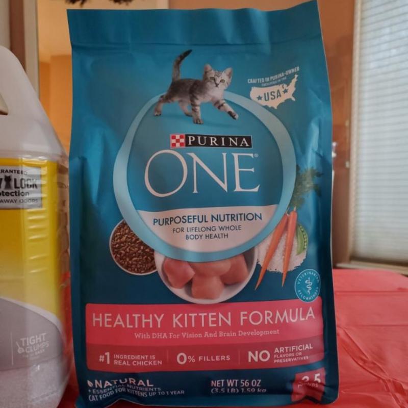 Purina one healthy kitten formula hot sale dry kitten food 16 lb