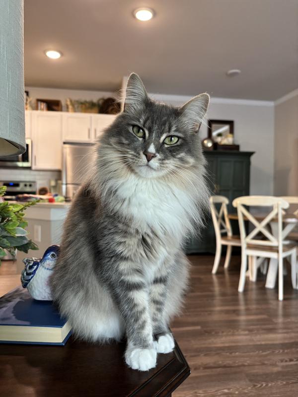 Our beautiful Candy