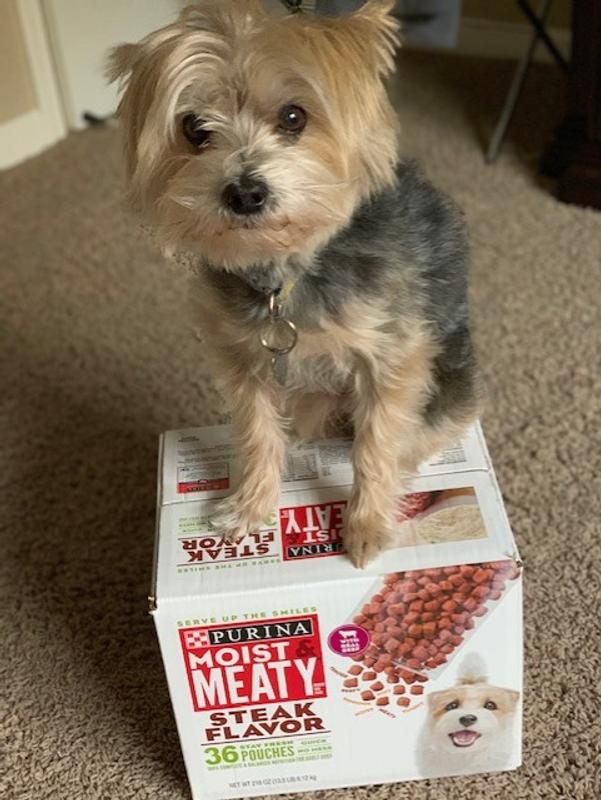 Is purina moist and meaty bad for outlet dogs