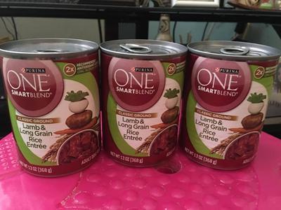 Purina ONE Plus Wet Puppy Food Classic Ground Healthy Puppy Lamb and Long  Grain Rice Entree - (12) 13 oz. Cans