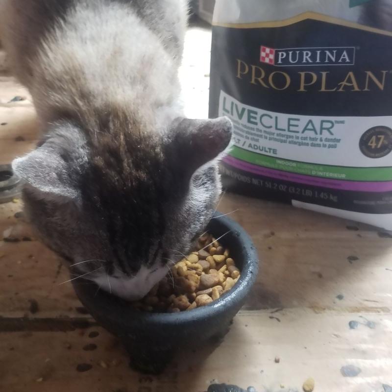 Purina Pro Plan High Protein Indoor Dry Cat Food LIVECLEAR Adult