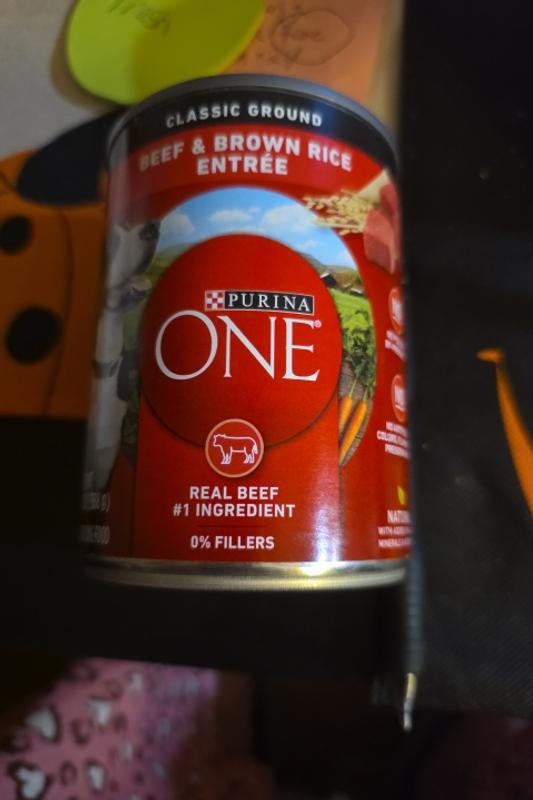 Review photo 1.