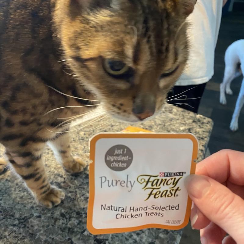 Fancy Feast Purely Natural Hand Selected Chicken Cat Treats 1.06 oz. 10 Pack Petco