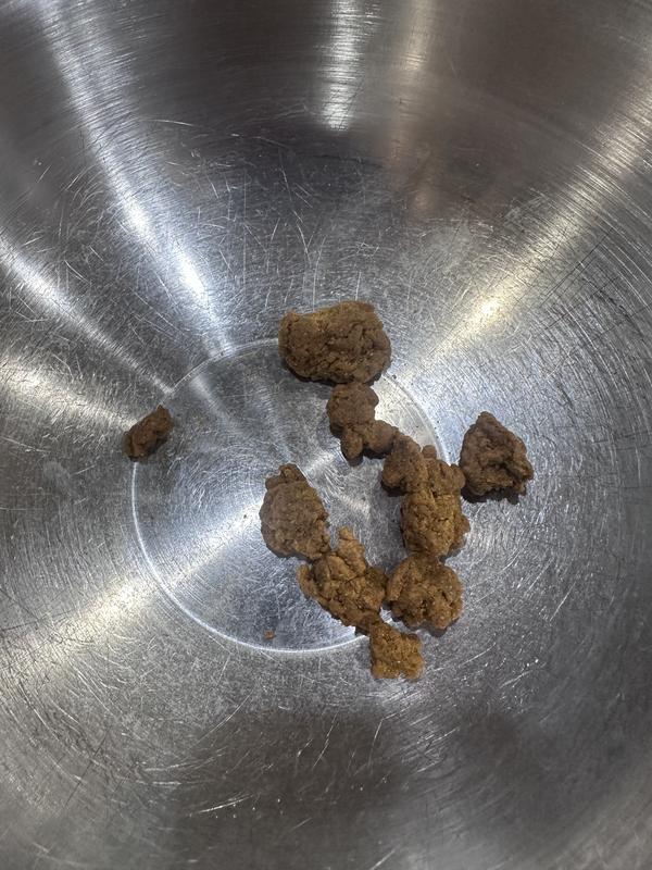 Clumps of food this was only a small portion of how many there were