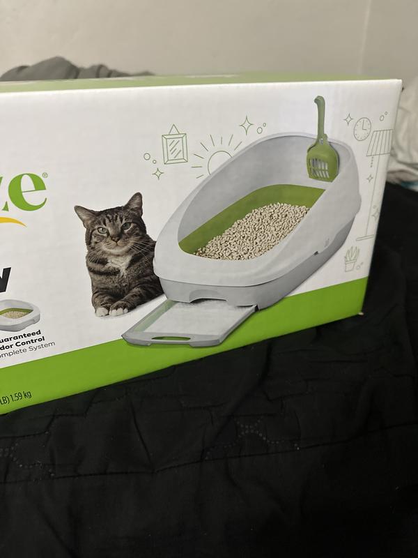 Breeze cat litter clearance reviews