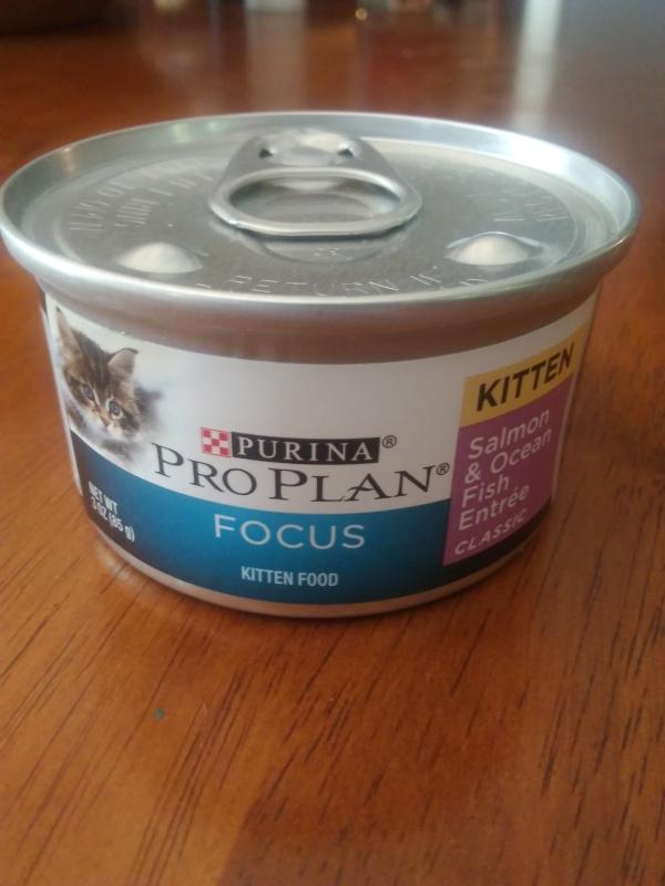 new cat food