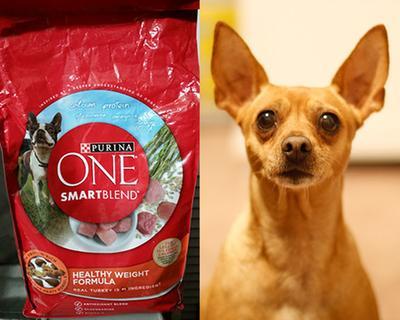 Purina One Smartblend Healthy Weight ONE Healthy Weight Chicken
