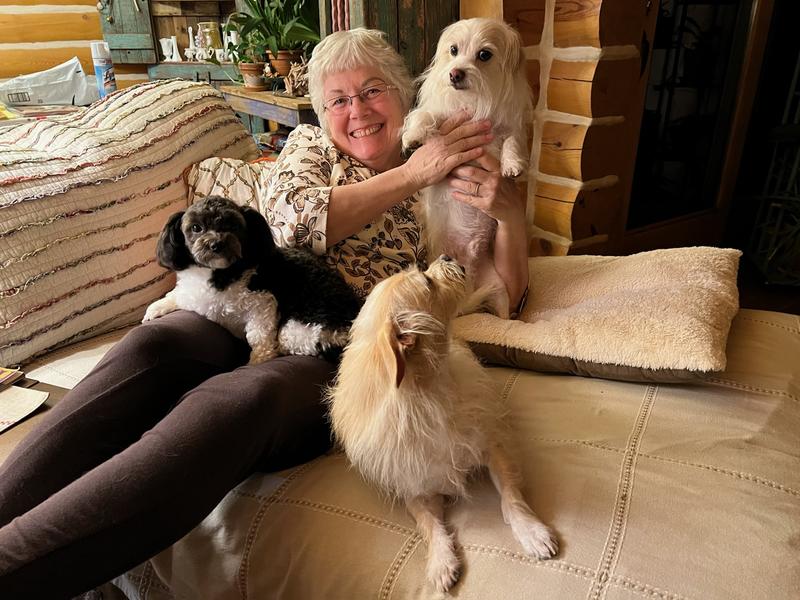 Are Alpo Snaps Safe For Dogs