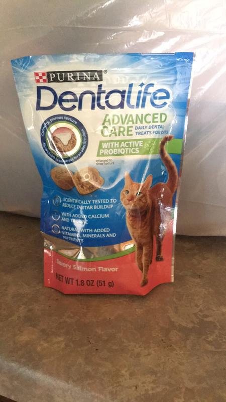 Purina dentalife cats best sale