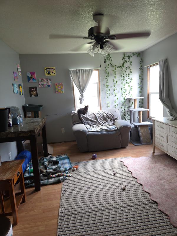 Review photo 3.