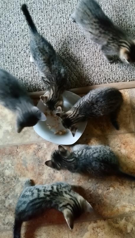 Gone in seconds!
