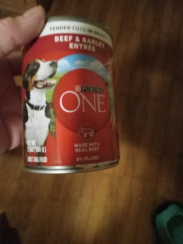 Brown Rice Purina One Canned Dog Food Pro Plan Puppy Purina Pro