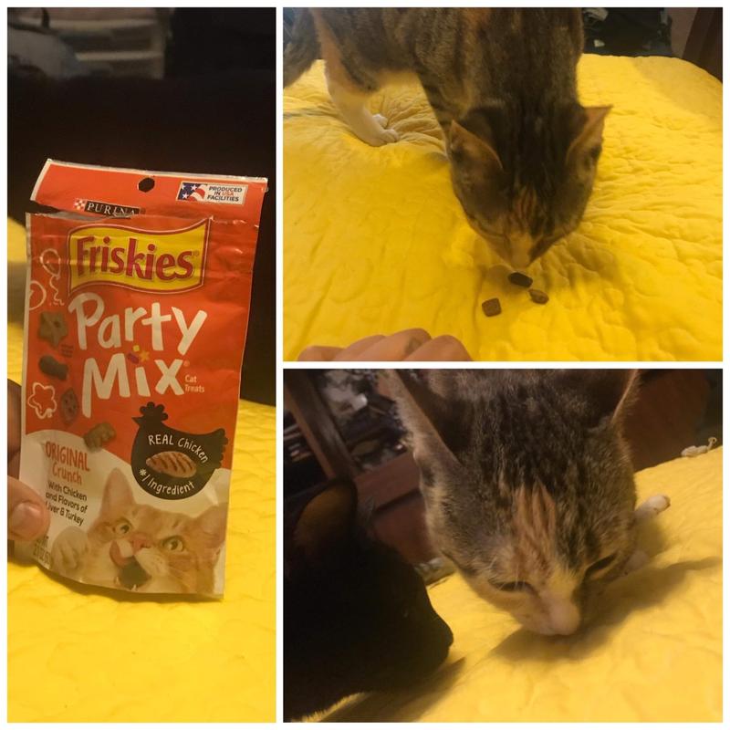 Friskies soft hotsell cat treats