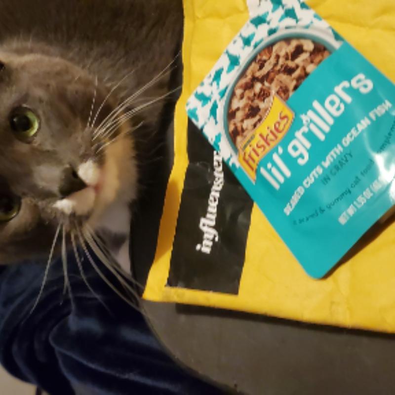 Purina Friskies Gravy Wet Cat Food Complement Lil Grillers