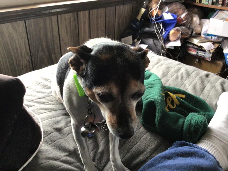 It’s cold and rainy today