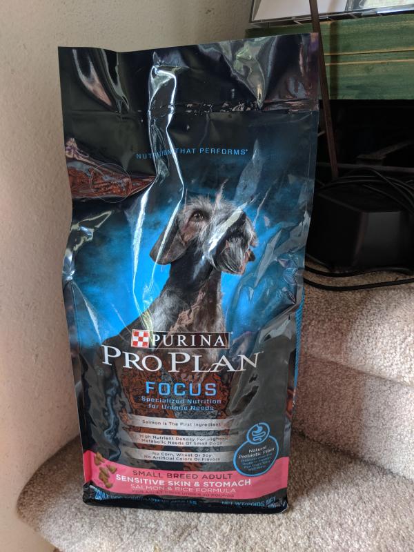 purina focus salmon