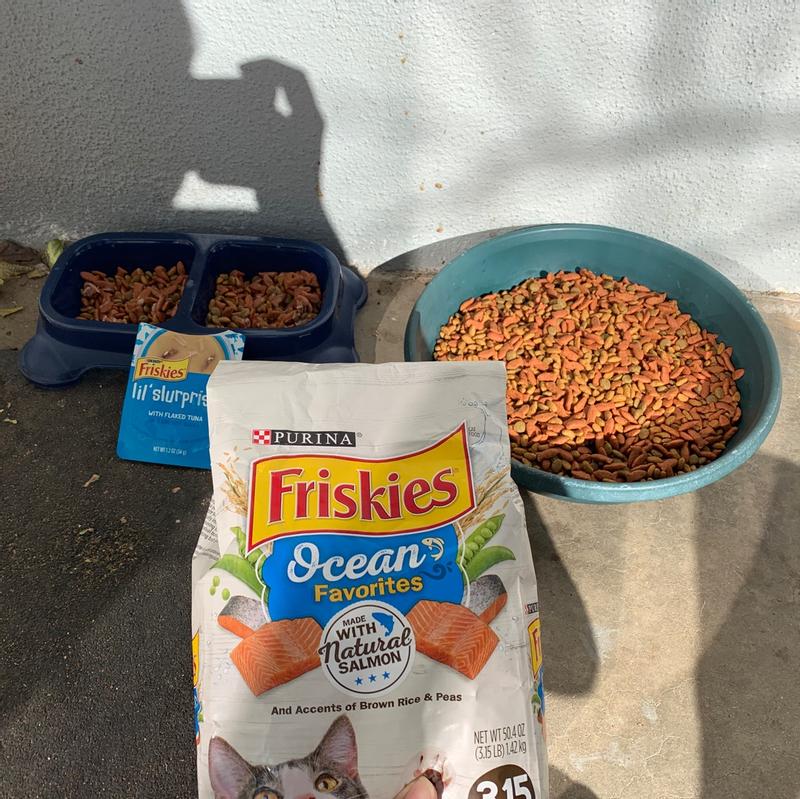 Purina Friskies Dry Cat Food Ocean Favorites With Natural Salmon