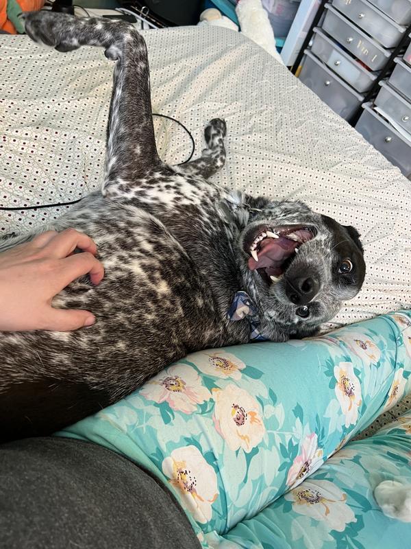 Photo - commentaire 7.