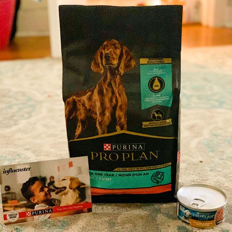 Pro Plan Puppy Development Sensitive Skin Stomach 10.9kg Ren s Pets