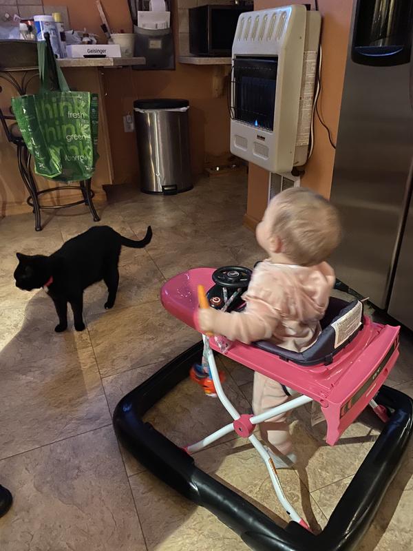 Dipper leads the way