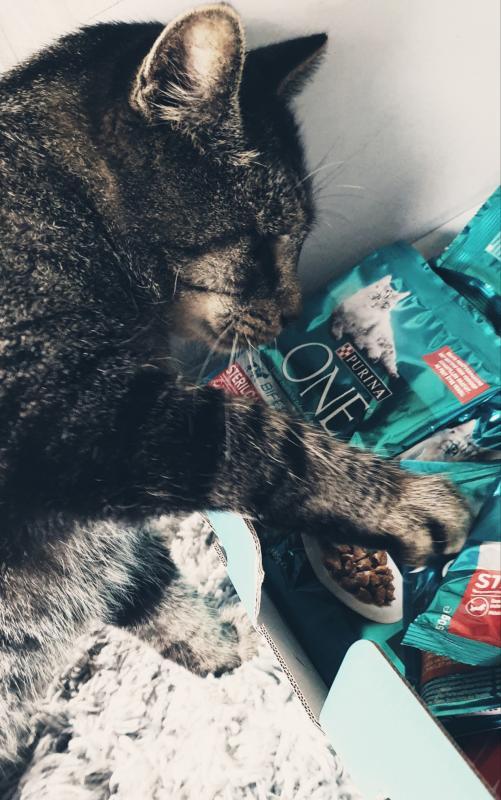 Purina One one senior kip 800gr