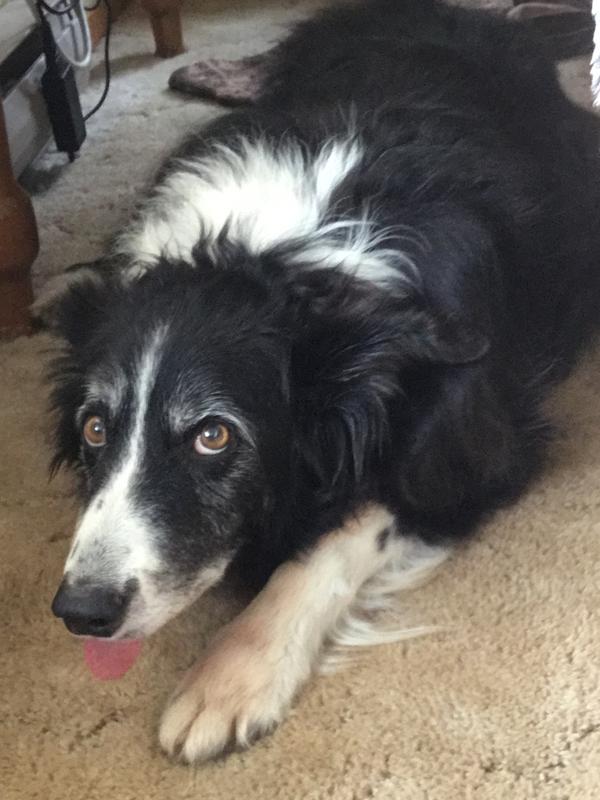 Photo - commentaire 4.