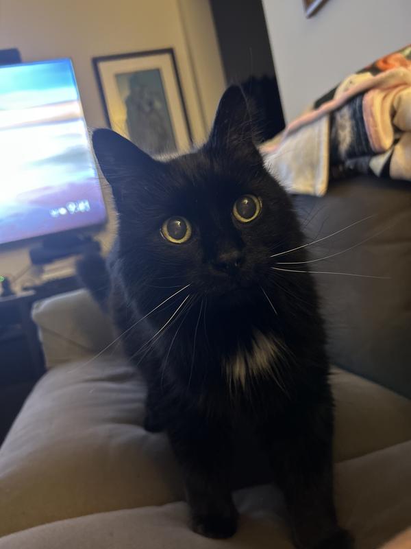 Buster ready for pill time