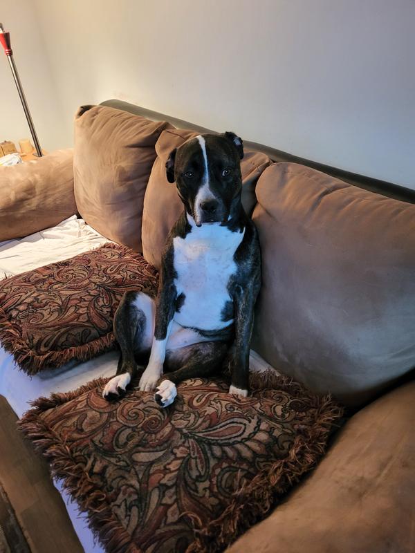 Photo - commentaire&nbsp;7.