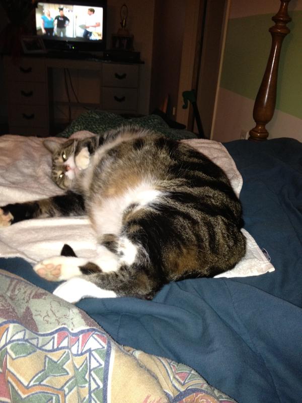 Photo - commentaire&nbsp;3.