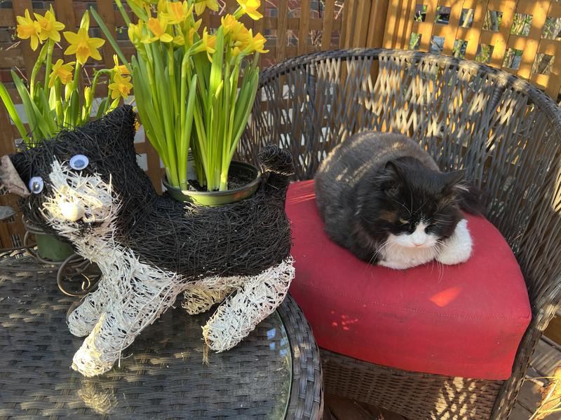 She thinks this is funny.