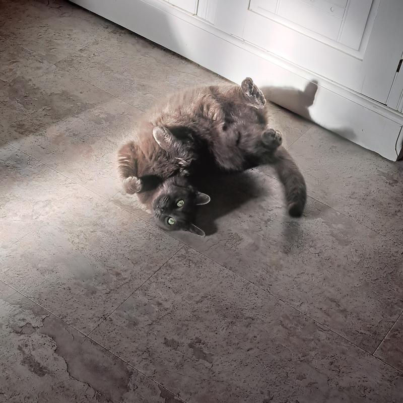 Is my shnak ready yet mum?