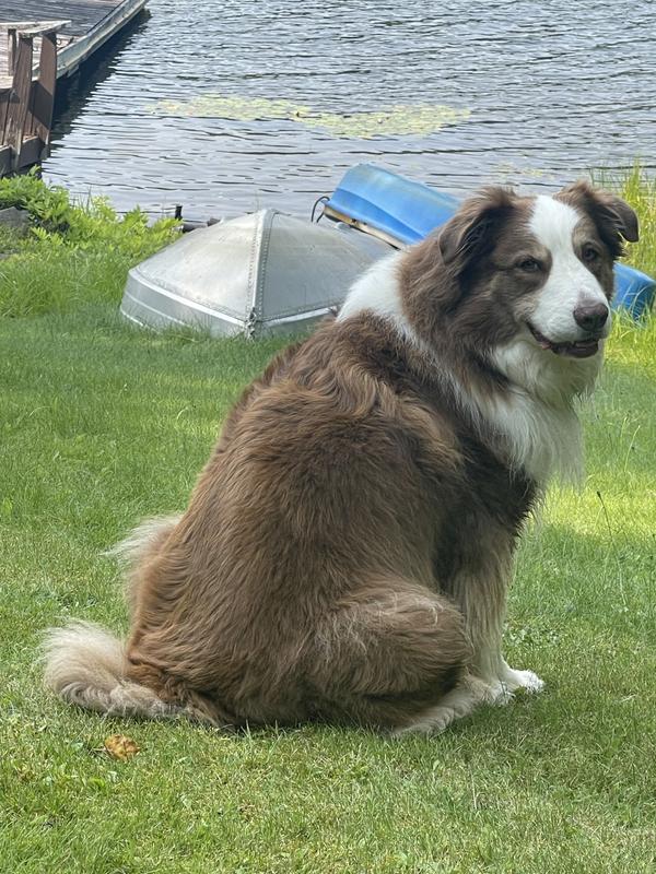 Wonderful Summer time