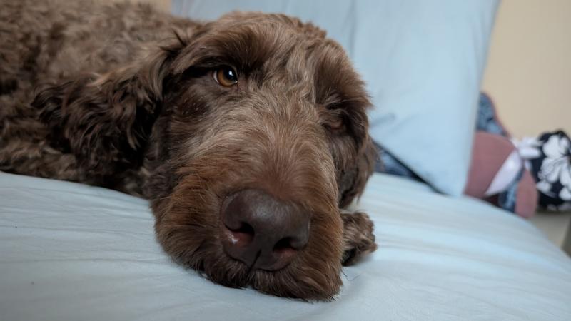 Photo - commentaire&nbsp;3.