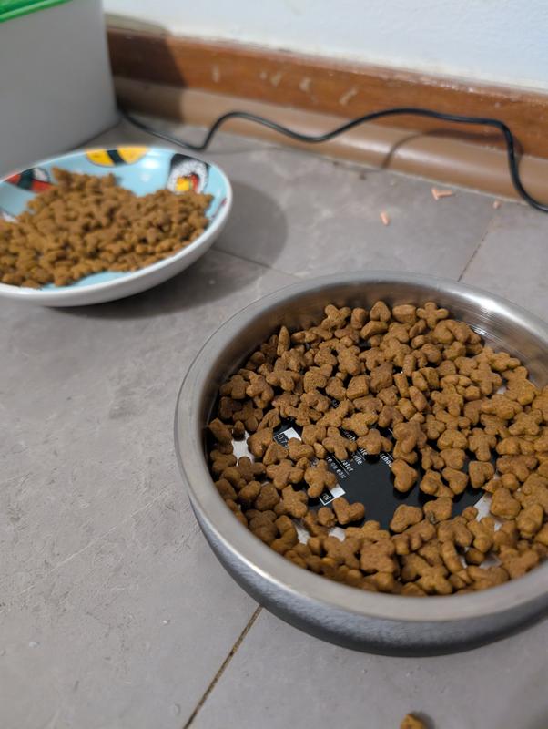 Photo - commentaire&nbsp;3.