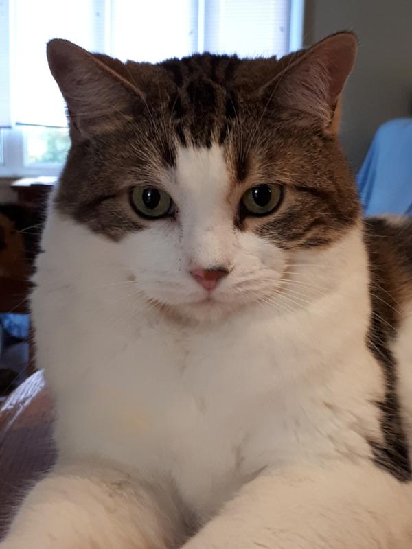 Mon beau Fred 13 ans