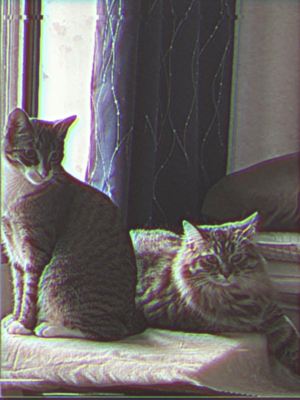 Photo - commentaire 2.