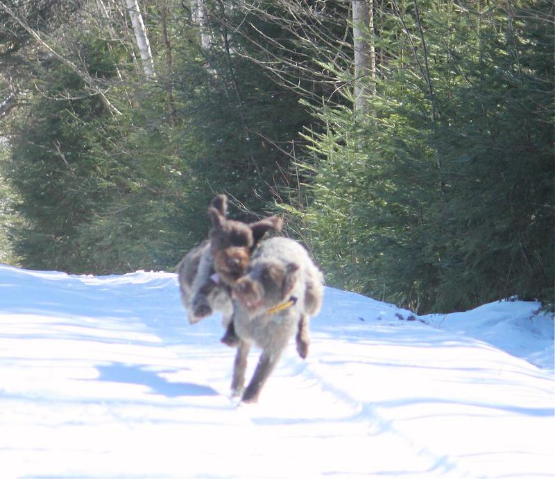 Enjoying the Great Canadian Wilderness