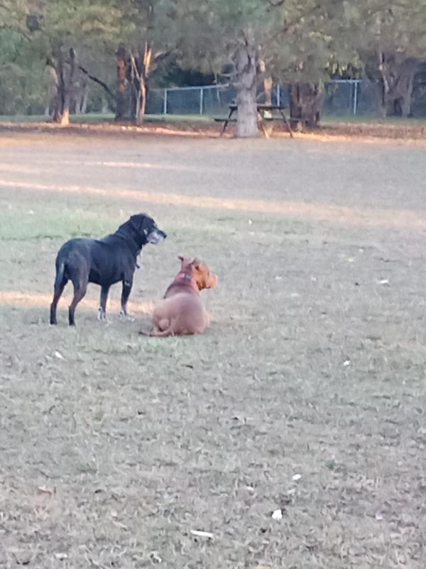 Squirrel duty with Freddy