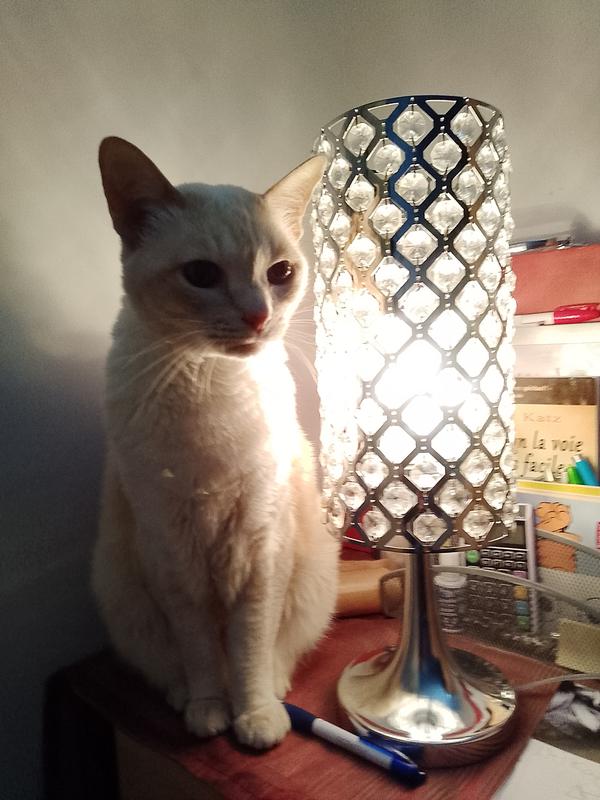 Photo - commentaire&nbsp;2.