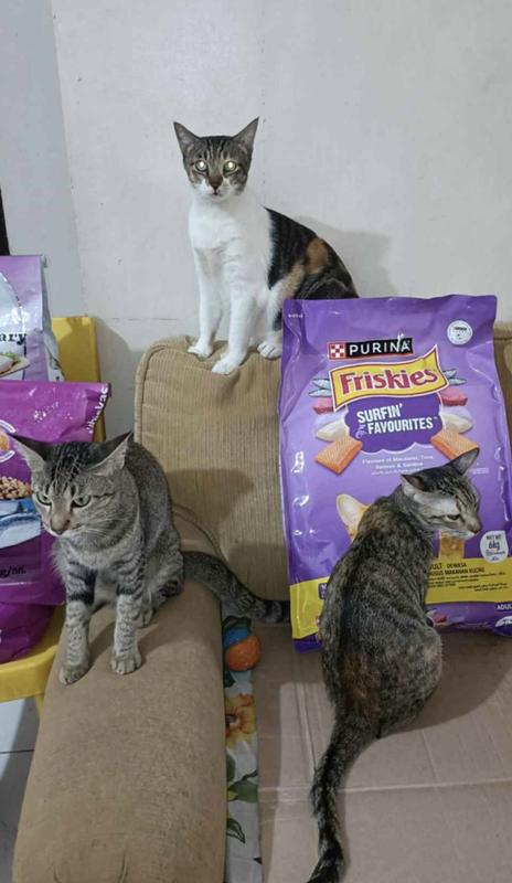 They can’t wait their treats to be open 😊