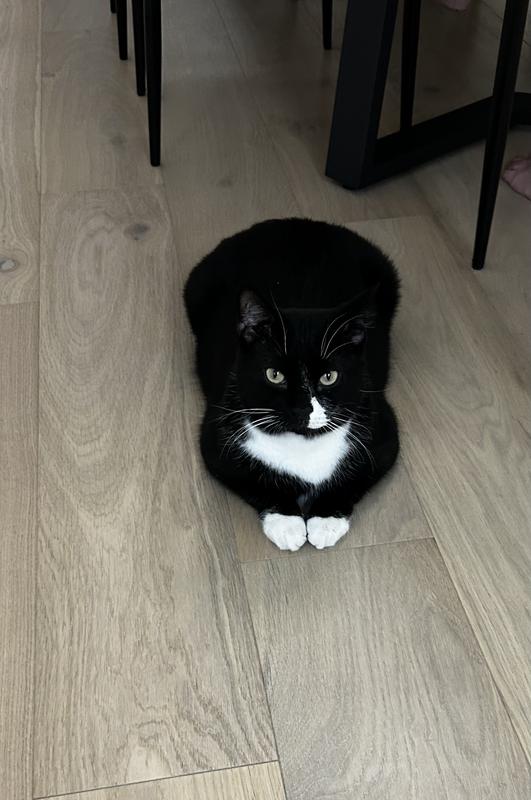 My perfect little guy!!!