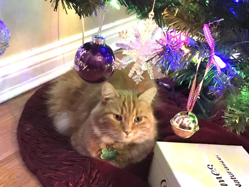 Santa's soon coming and I want some treats.