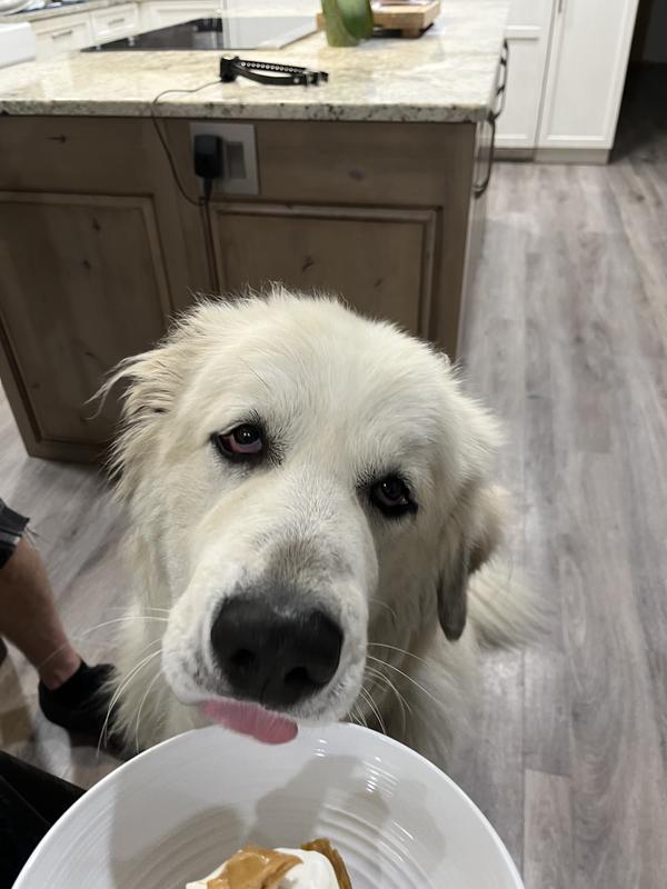 Edgar and his birthday cake!