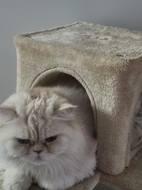 Just relaxing in my tower